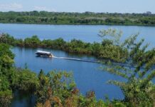 Alteração de limites de reservas extrativistas em Rondônia é sancionada pelo presidente