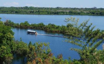 Alteração de limites de reservas extrativistas em Rondônia é sancionada pelo presidente