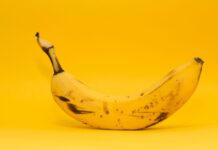 Reconhecimento da Banana de Luiz Alves: Uma Conquista para Santa Catarina ripe banana